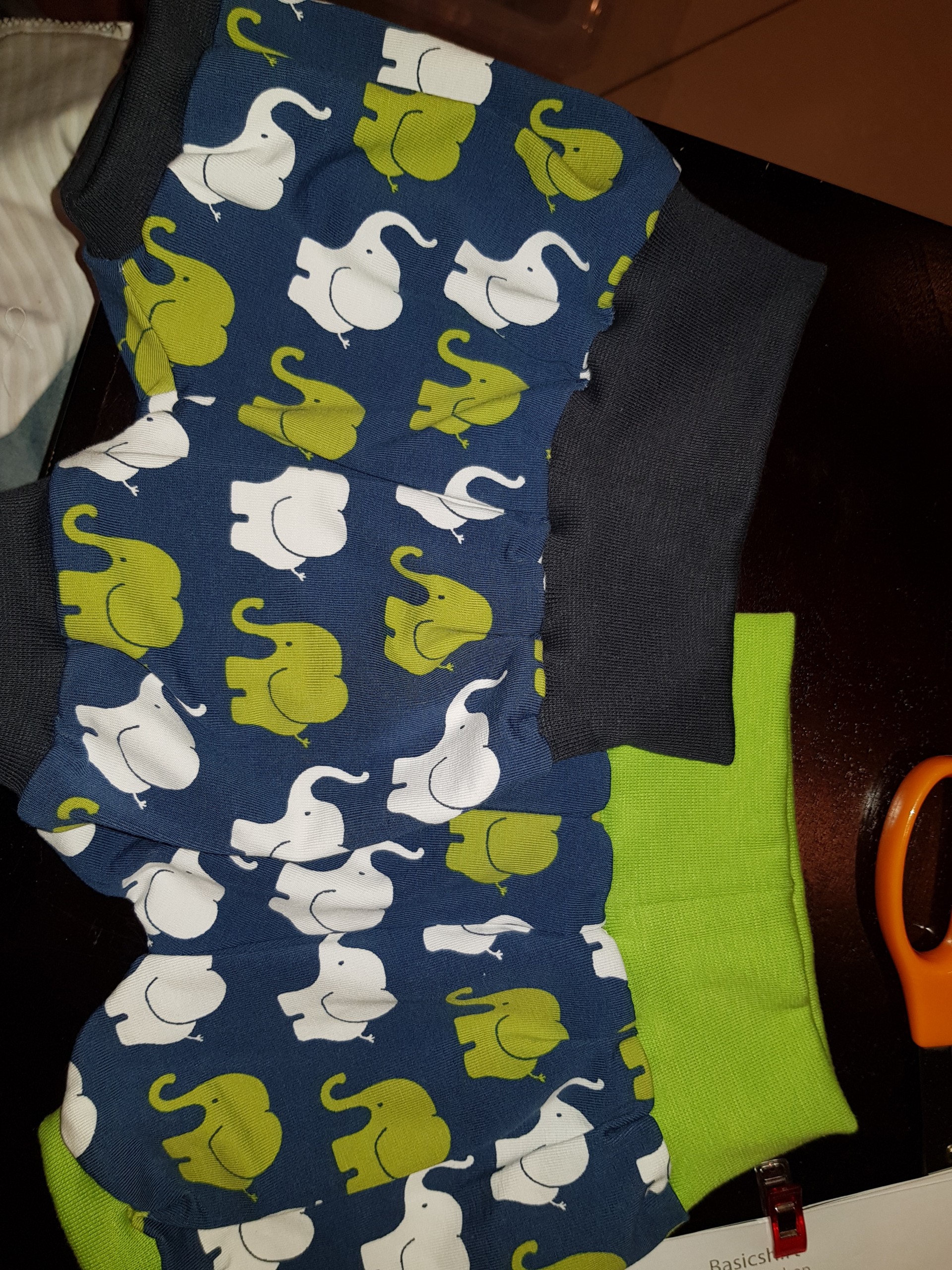 BPSElefgreenandblue-scaled-1.jpg