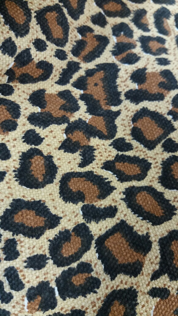 Leo